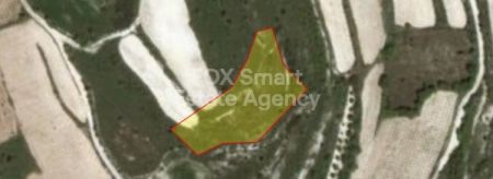 Κάθηκας, Πάφος