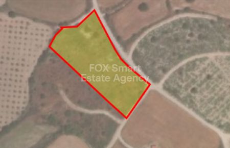 קאטהיקאס, פאפוס