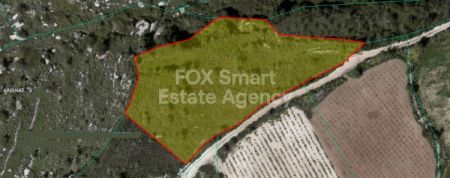 קאטהיקאס, פאפוס