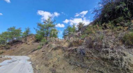 Сельские земли на продажу