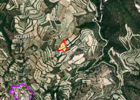 Terres rurales à vendre