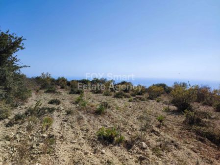 Terreni rurali in vendita