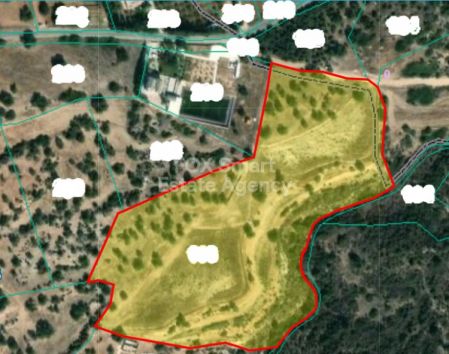 קוקליה, פאפוס