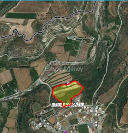 קוקליה, פאפוס