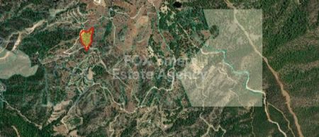ארץ כפרית למכירה