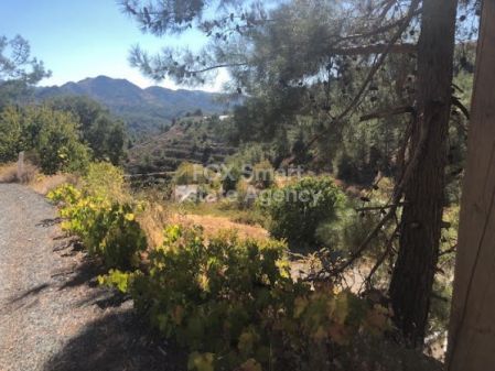 Terres rurales à vendre