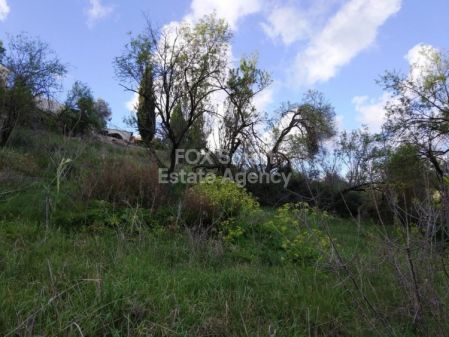 ארץ כפרית למכירה