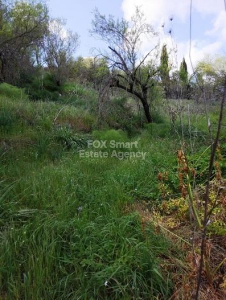 ארץ כפרית למכירה