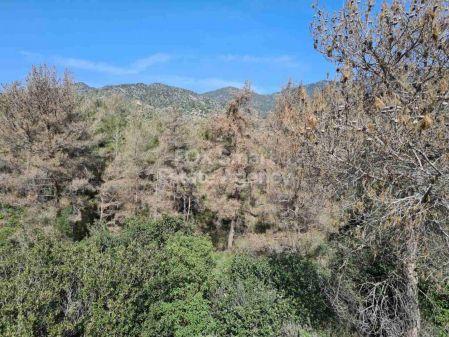 Terreni rurali in vendita