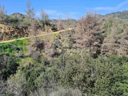 Terreni rurali in vendita