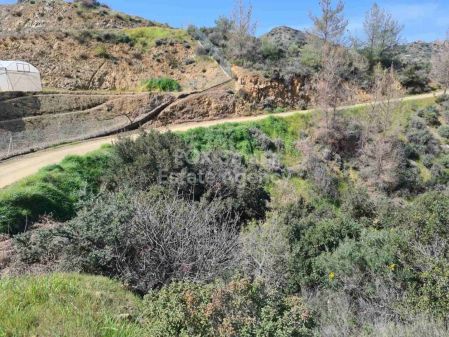 Terreni rurali in vendita