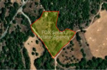 ליסוס, פאפוס