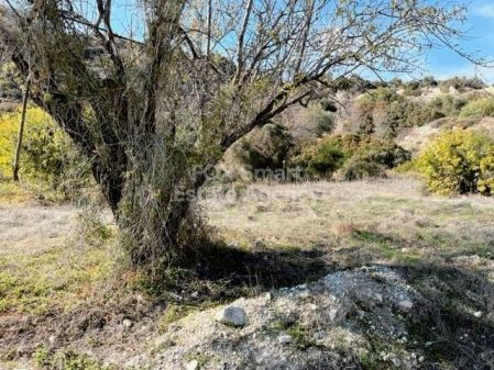 Wiejskie grunty na sprzedaż