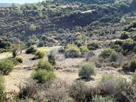 Mathikoloni, Limassol