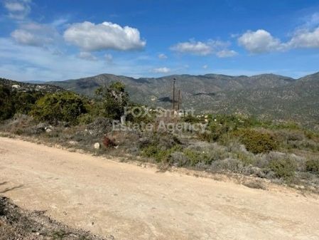 Wiejskie grunty na sprzedaż