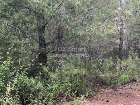 Ländliches Land zum Kauf