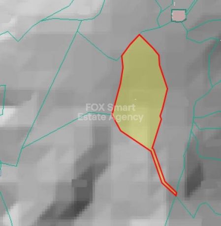 נאטה, פאפוס