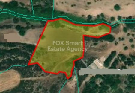 ניאו צ'ריו, פאפוס