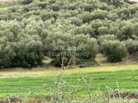 ארץ כפרית למכירה