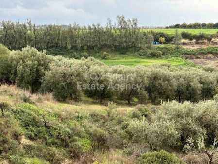 ארץ כפרית למכירה