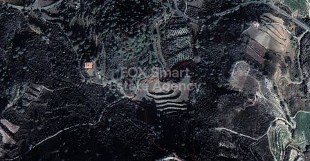 ארץ כפרית למכירה