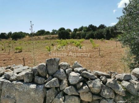 Residential Land for sale