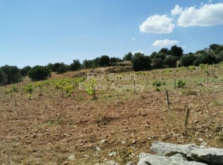 Residential Land for sale