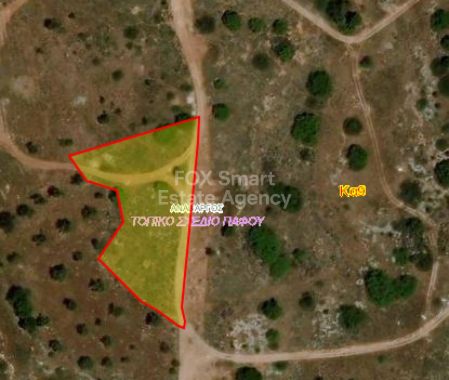 אנאברגרוס, פאפוס