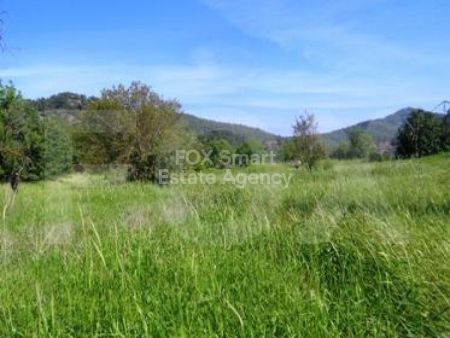 Сельские земли на продажу