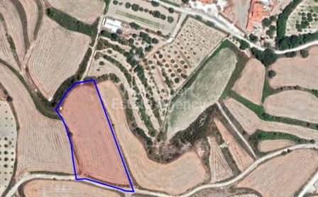 Пафоса, Пафос