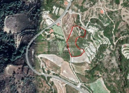 Сельские земли