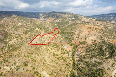 Сельские земли на продажу