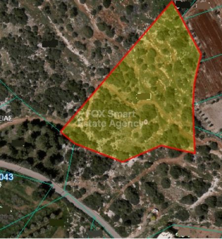 פאפוס, פאפוס