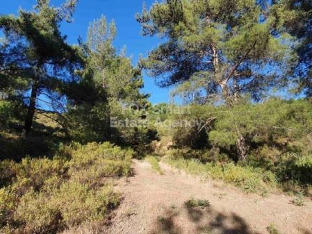 Rural Land for sale