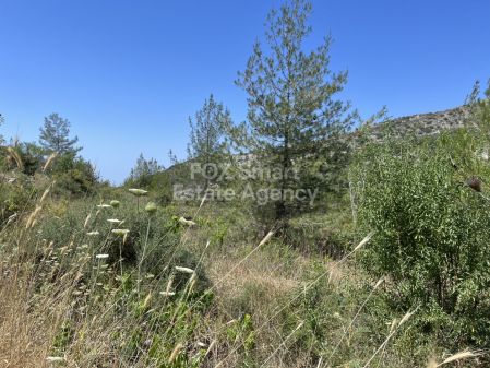 Wiejskie grunty na sprzedaż