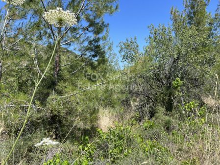 Wiejskie grunty na sprzedaż