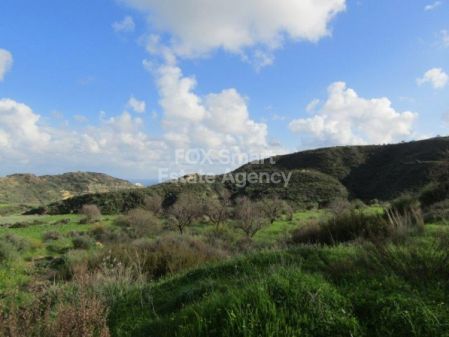 פיסורי, לימסול