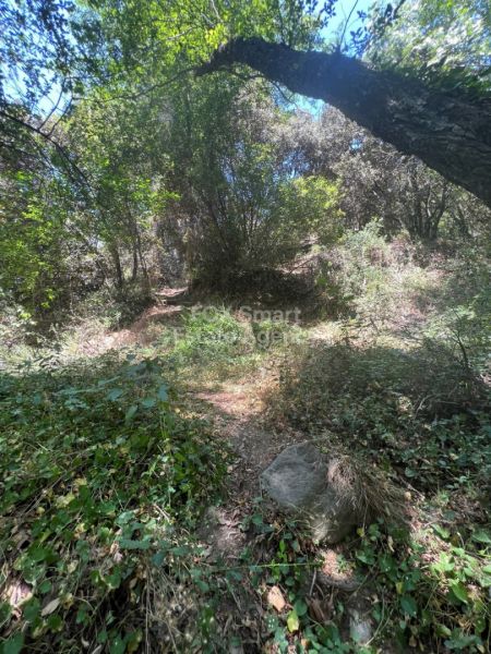 ארץ כפרית למכירה