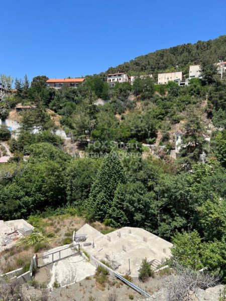 ארץ כפרית למכירה