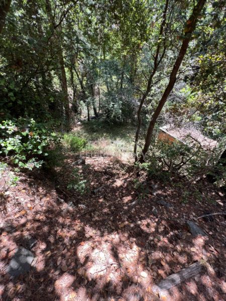 ארץ כפרית למכירה