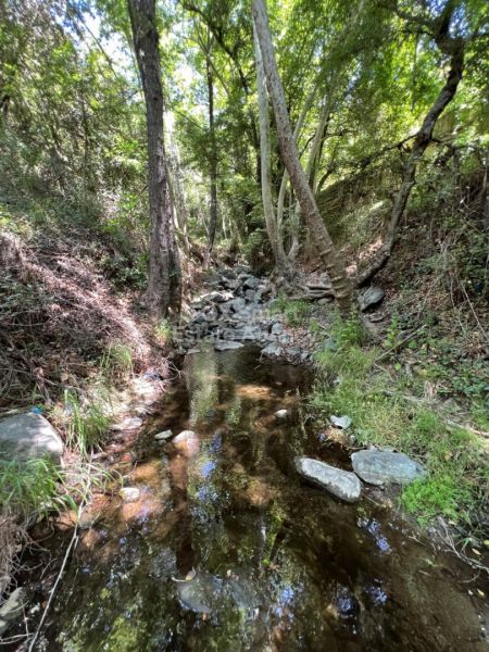 ארץ כפרית למכירה