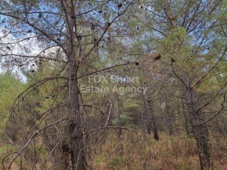 Wiejskie grunty na sprzedaż