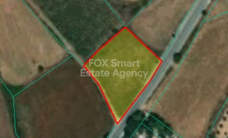 פולמי, פאפוס