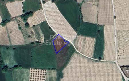 Rural Land for sale
