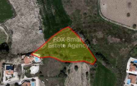 פולמי, פאפוס