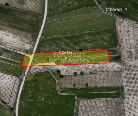 פולמי, פאפוס