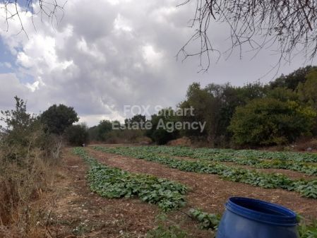 ארץ כפרית למכירה