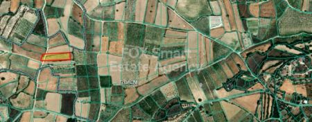 פולמי, פאפוס