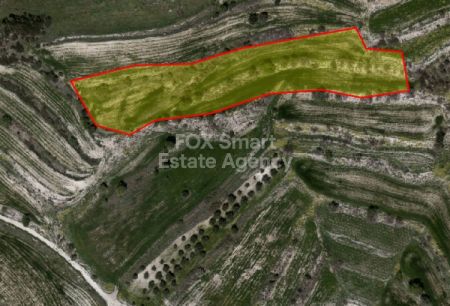 פולמי, פאפוס