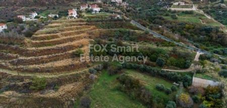 Terreni rurali in vendita